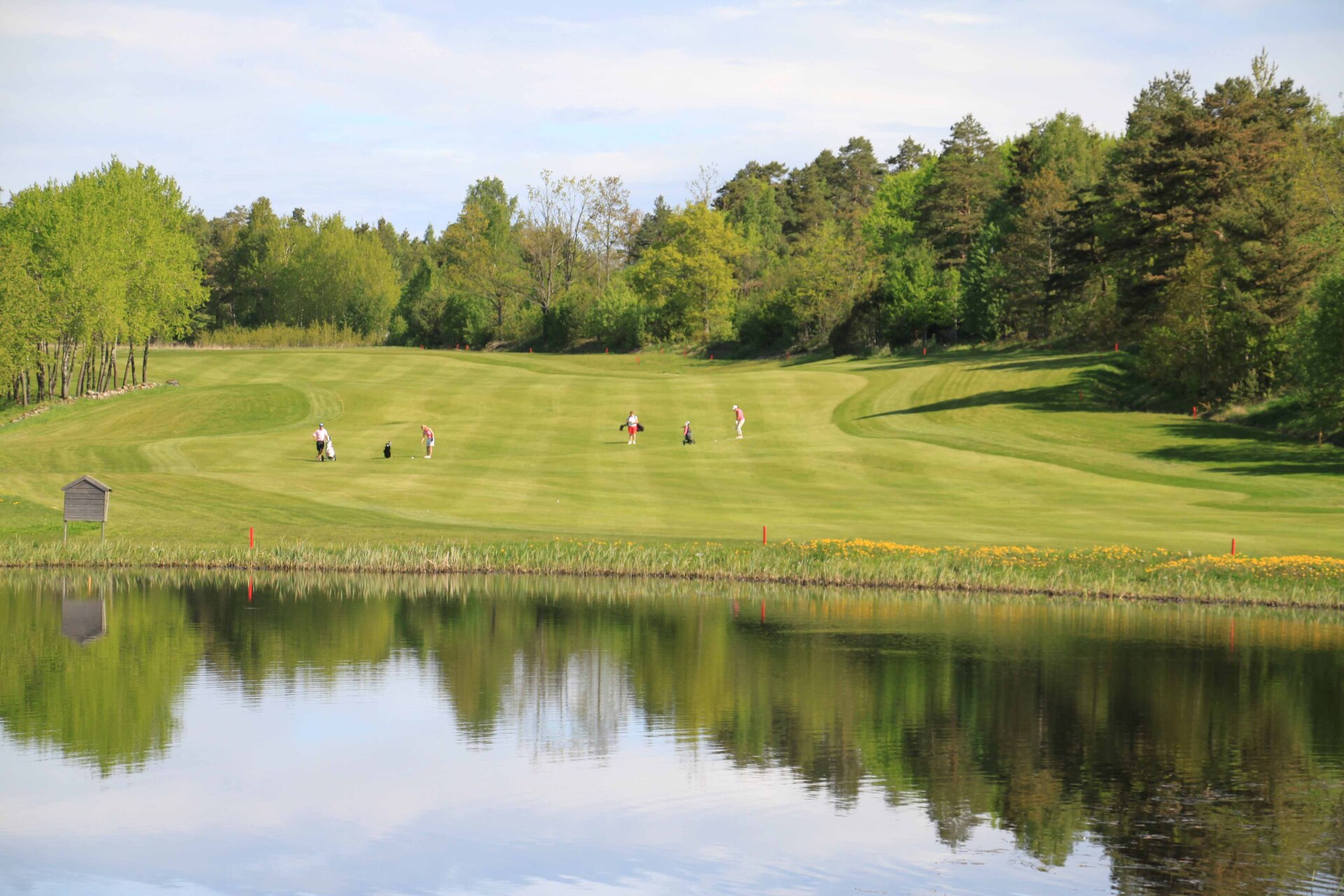Forsiden - Sandefjord Golf